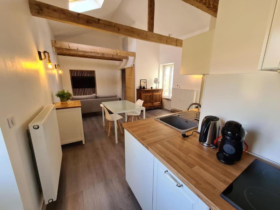 Joli Appartement Tout Confort Chalon-sur-Saône Exterior foto